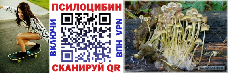 Купить  Порхов  Галлюциногенные грибы Psilocybe 