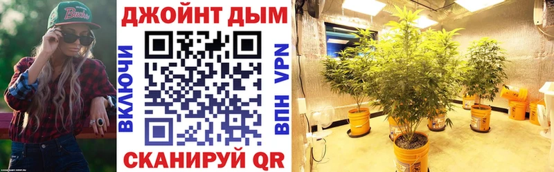 Купить где  Порхов  Каннабис MAZAR 